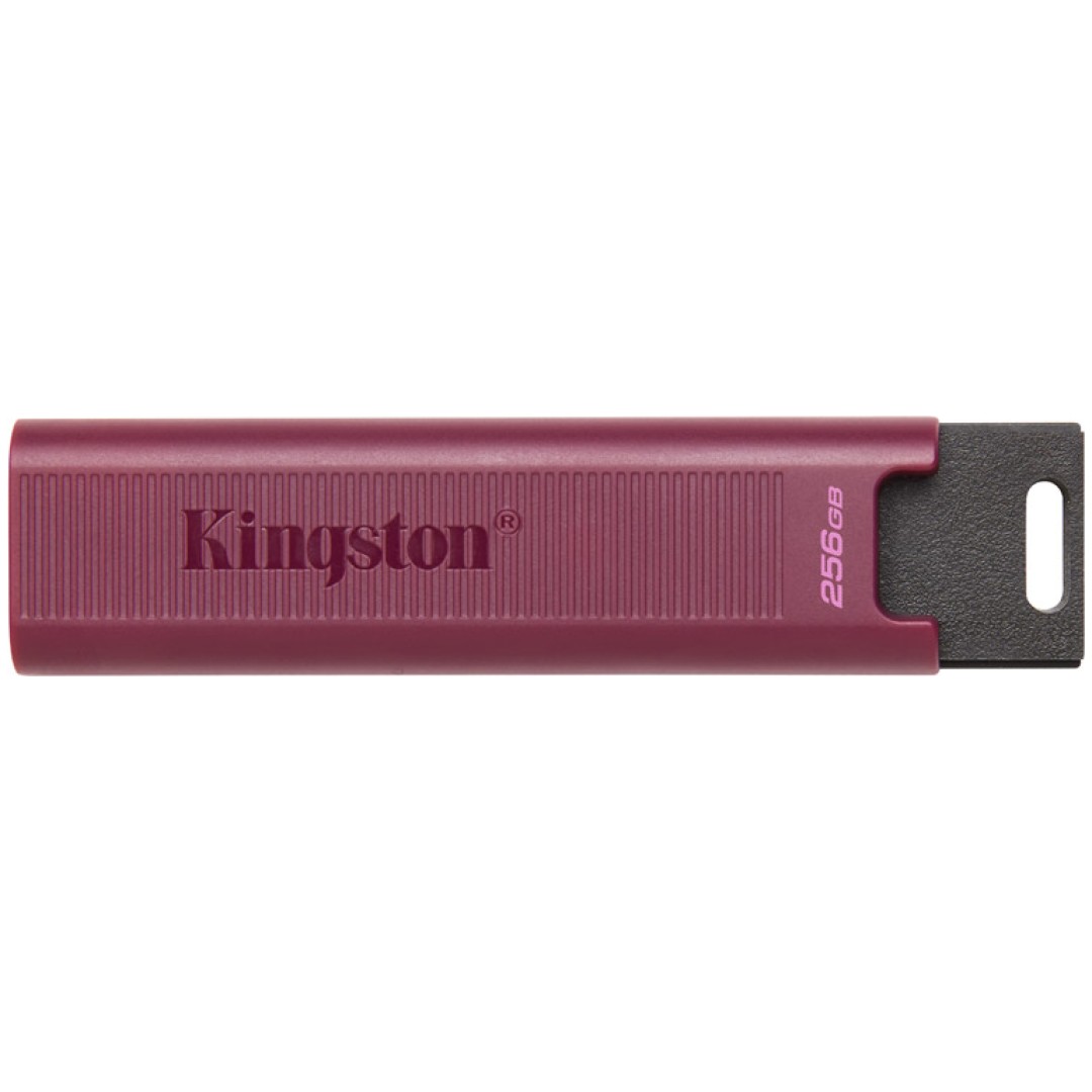 KINGSTON DataTraveler MAX prenosni 256GB USB 3.2 gen2 Type-A (DTMAXA/256GB) USB ključ