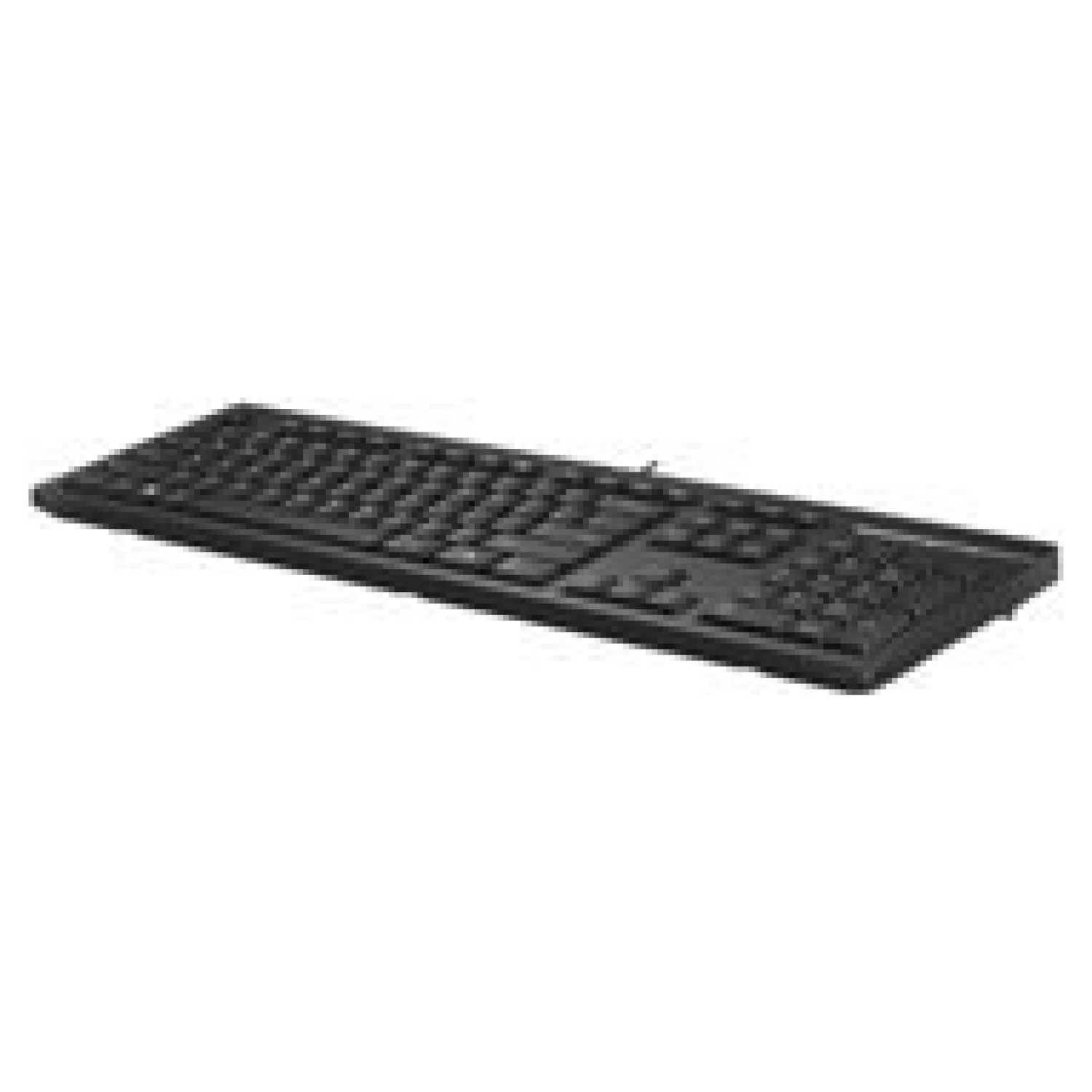HP 125 Wired Keyboard SLO