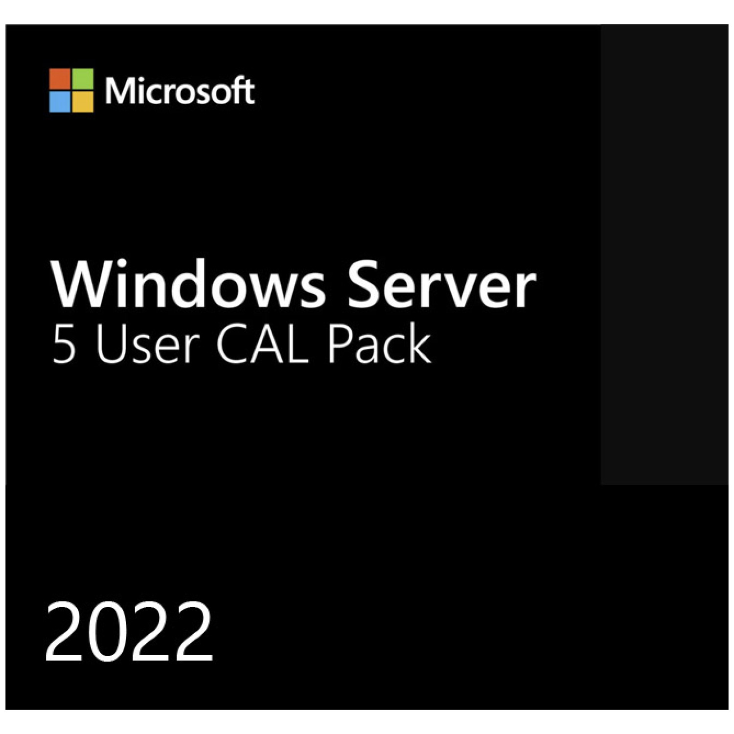 DSP Windows Server 5 CAL 2022 Clt (R18-06466)