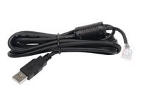 APC cable USB to RJ45