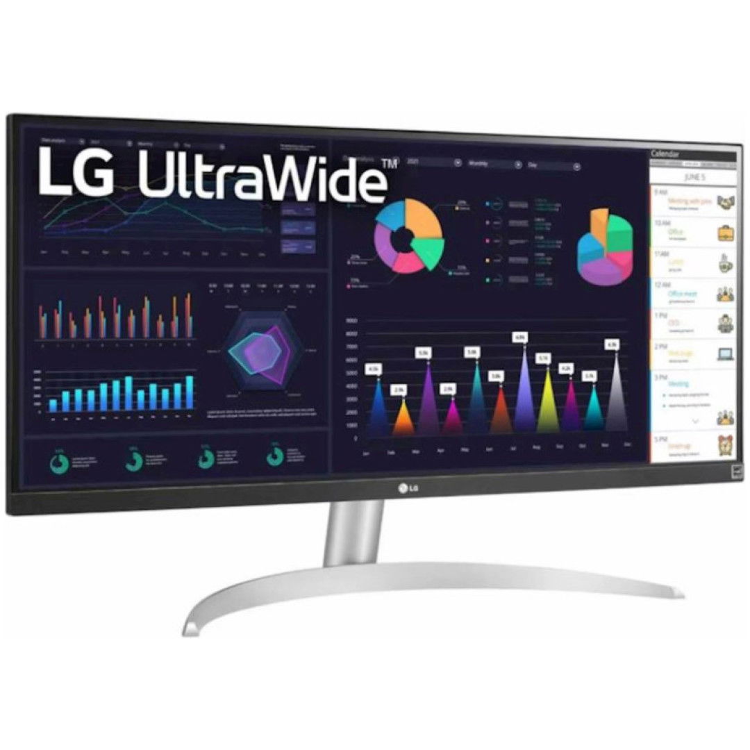 Monitor LG 73