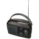 Adler radio AD1119