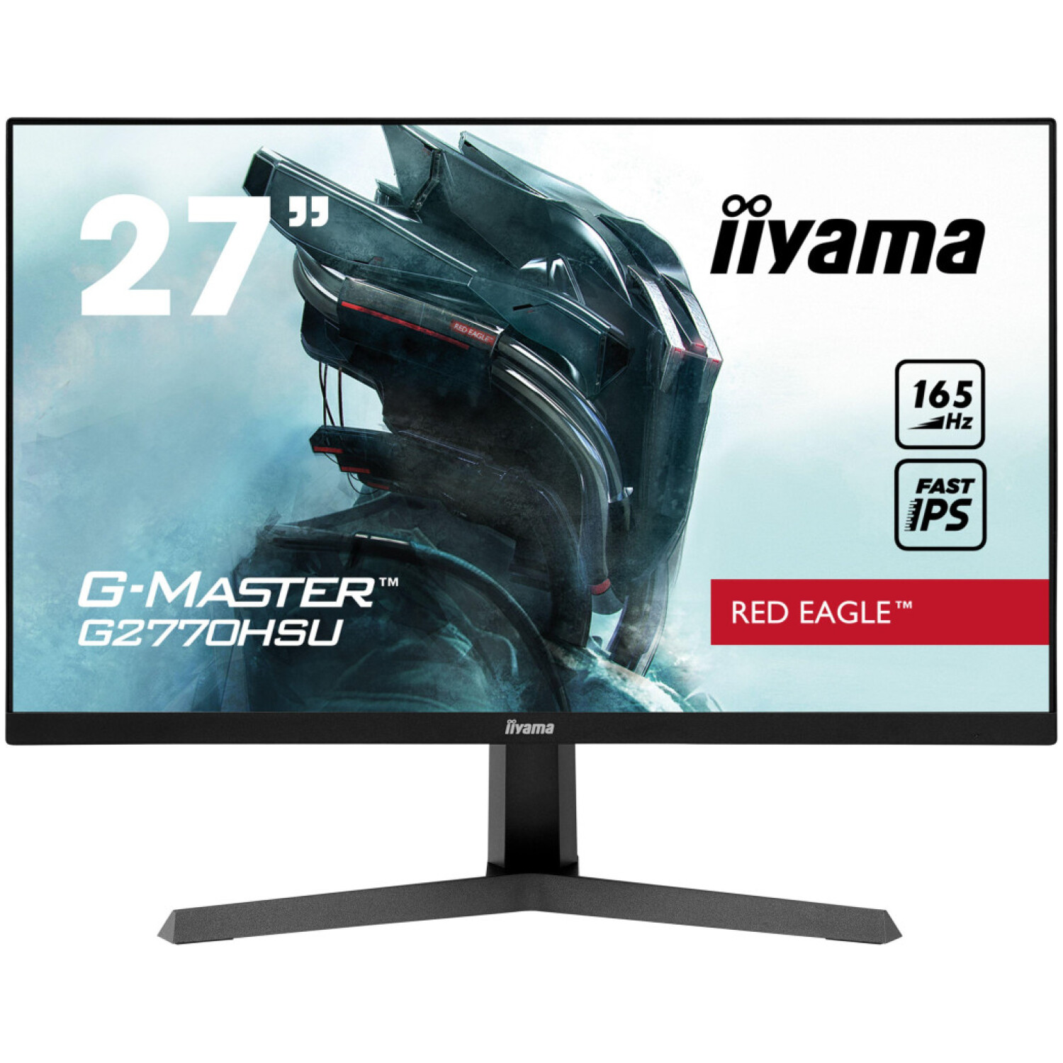 Monitor Iiyama 68