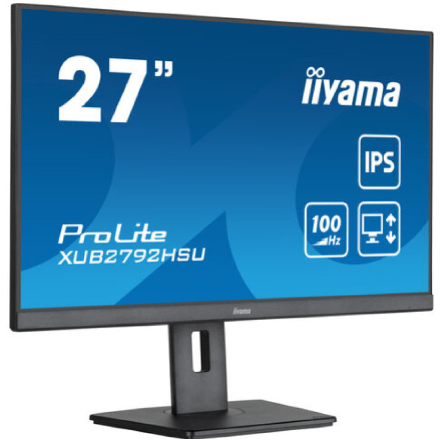 Monitor Iiyama 68