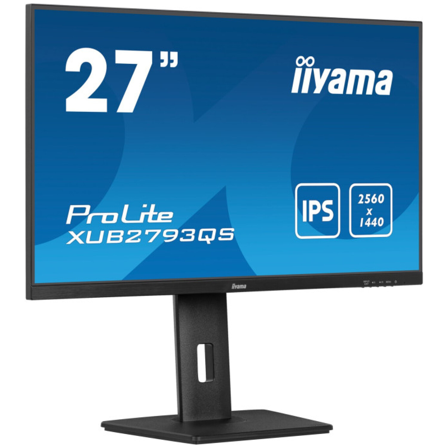 Monitor Iiyama 68