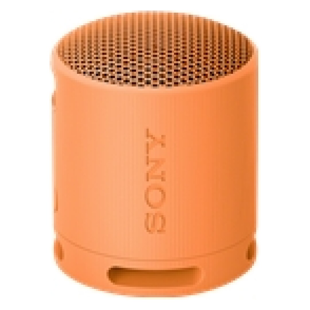 SONY SRSXB100D.CE7 wireless speaker Orng