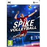 Spike Volleyball (PC)