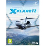 X Plane 12 (PC)